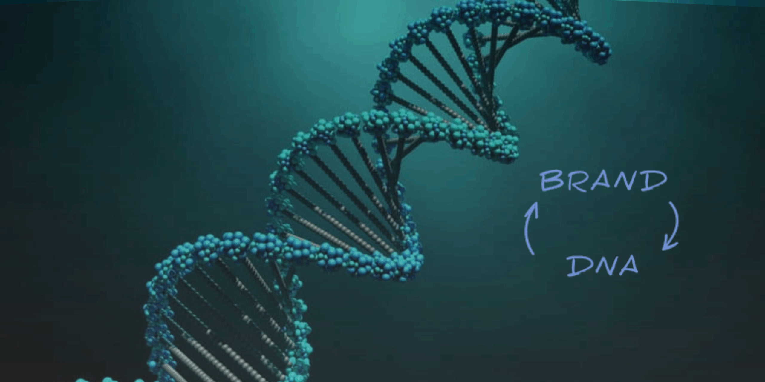 DNA Thương Hiệu – Bản Sắc Cốt Lõi Tạo Sự Khác Biệt Cho Thương Hiệu